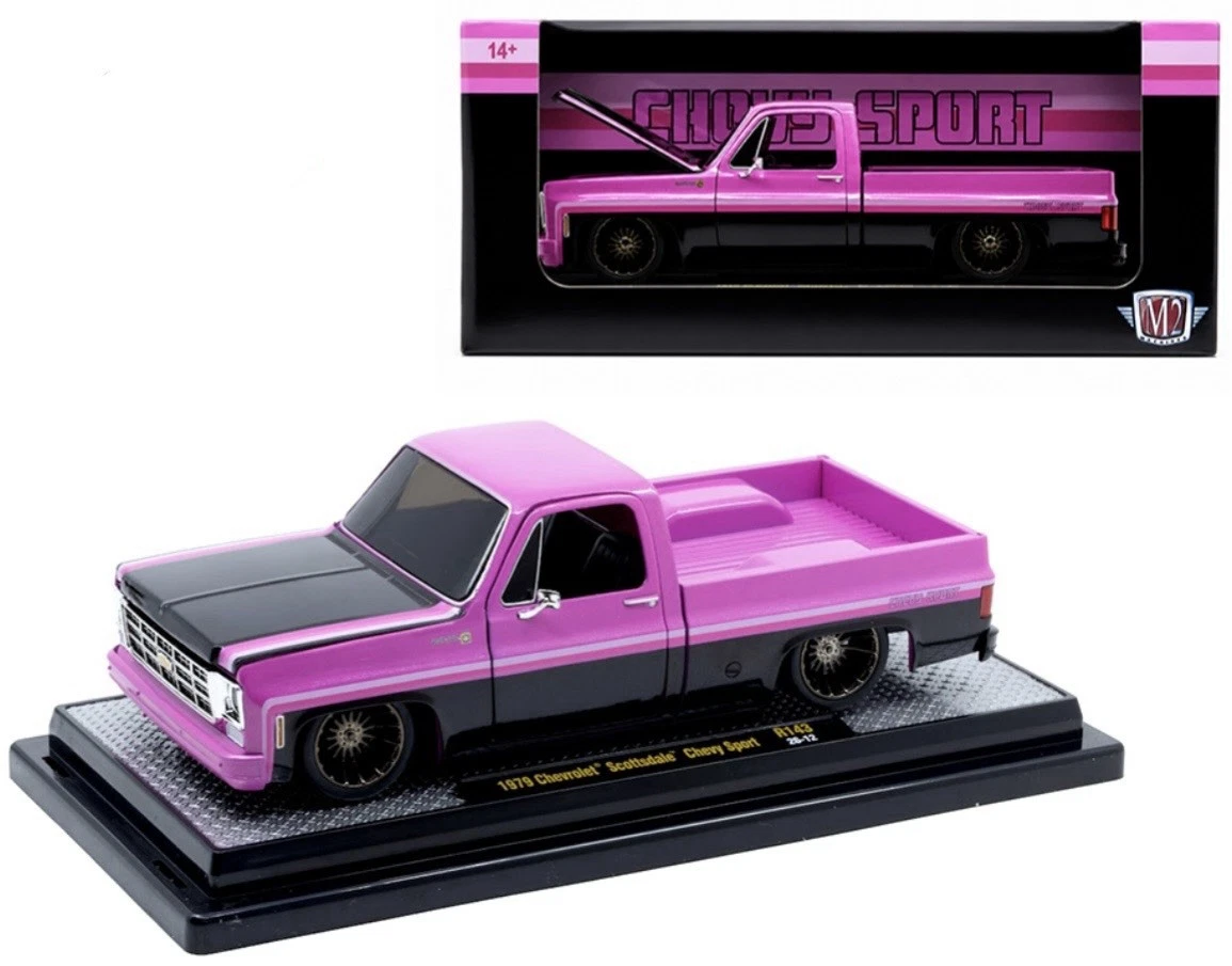 1979 Chevrolet Scottdale Chevy Sport